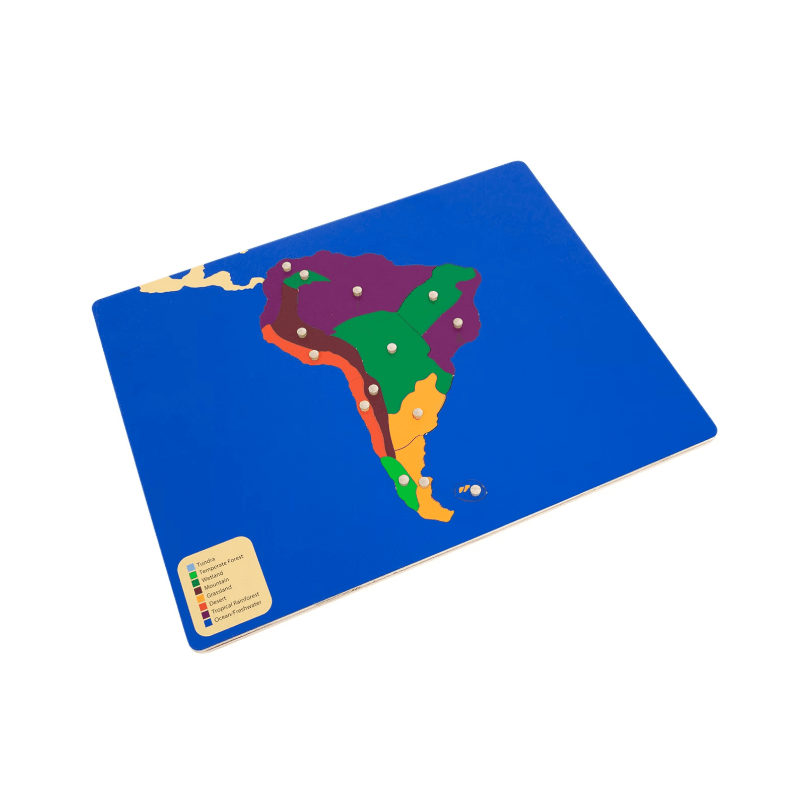 Montessori Alison's Montessori Biomes Puzzle Map of South America