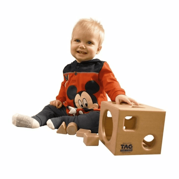 TAG Toys Montessori Shape Sorter