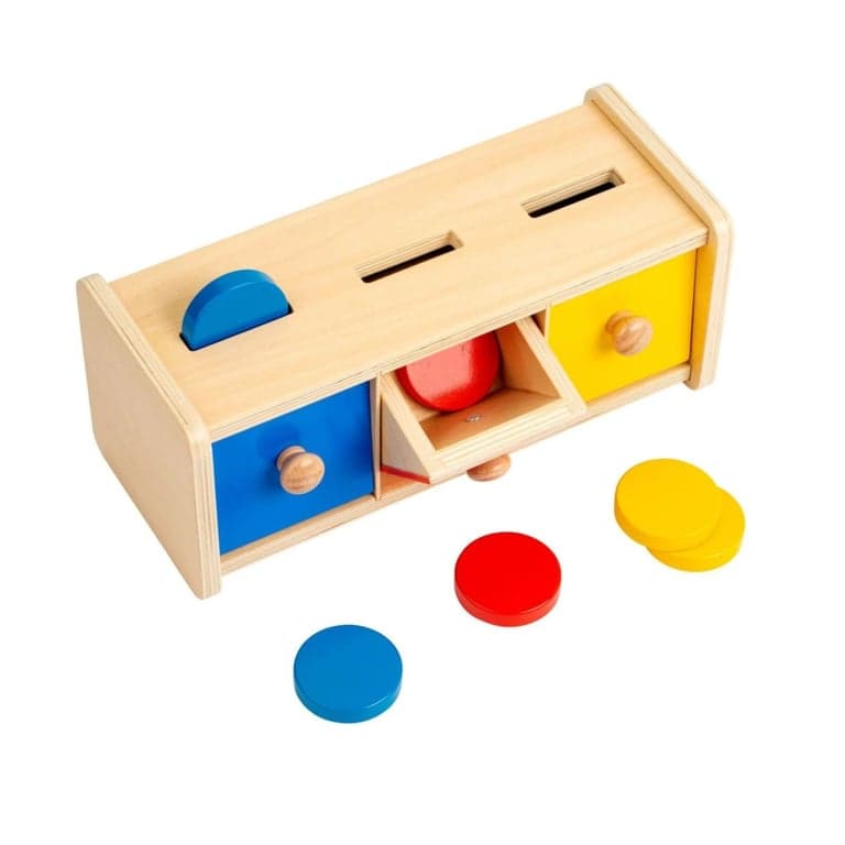 Educo Place the Disc