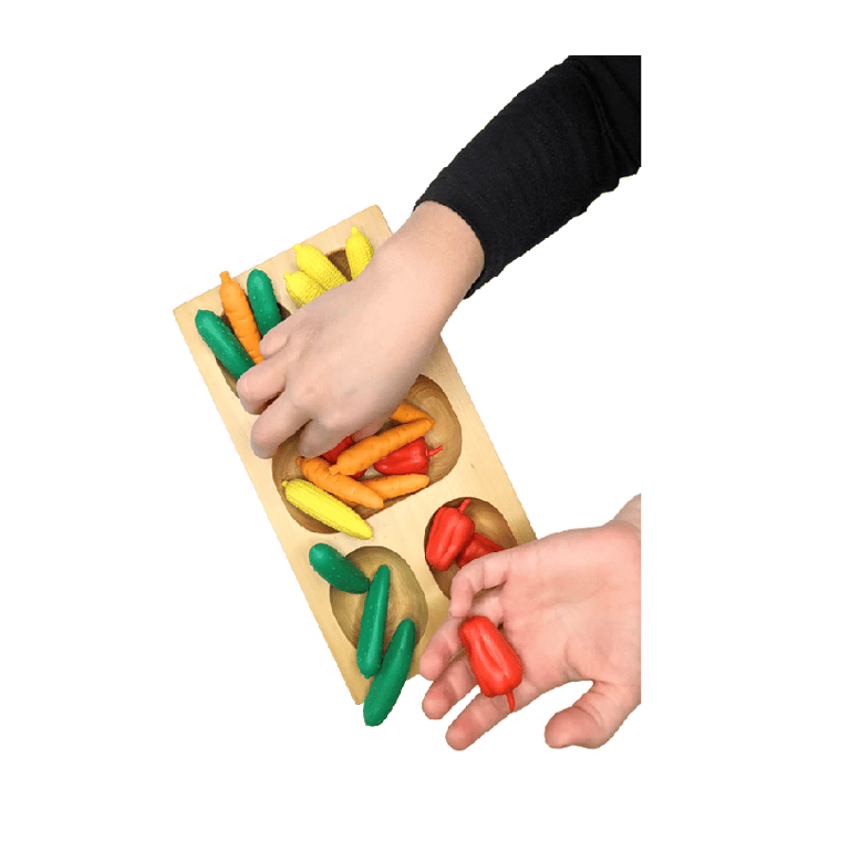 Montessori Montessori N’ Such Sorting Veggie 4-Compartment Kit