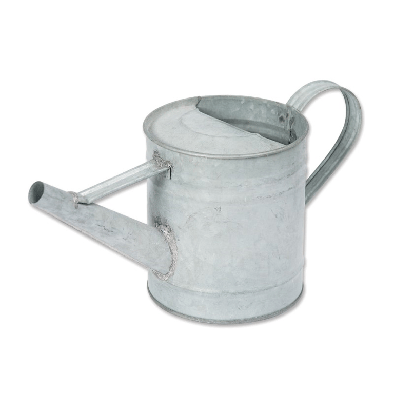 Montessori Montessori Services Mini Galvanized Watering Can