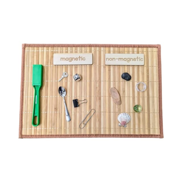 Arbor Inspirations Magnetic and Non-Magnetic Sorting Set