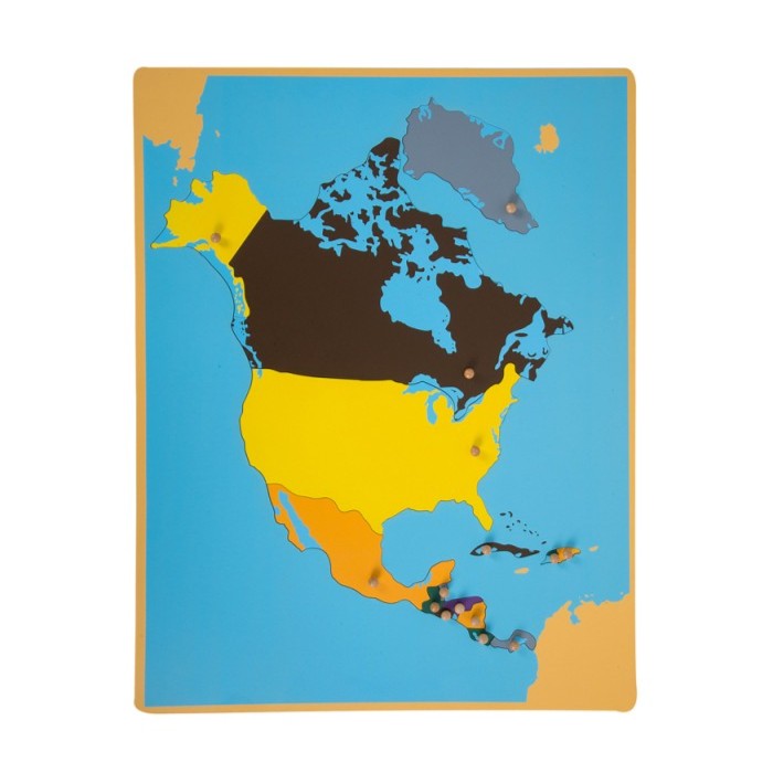 Montessori E&O Montessori North America Puzzle Map