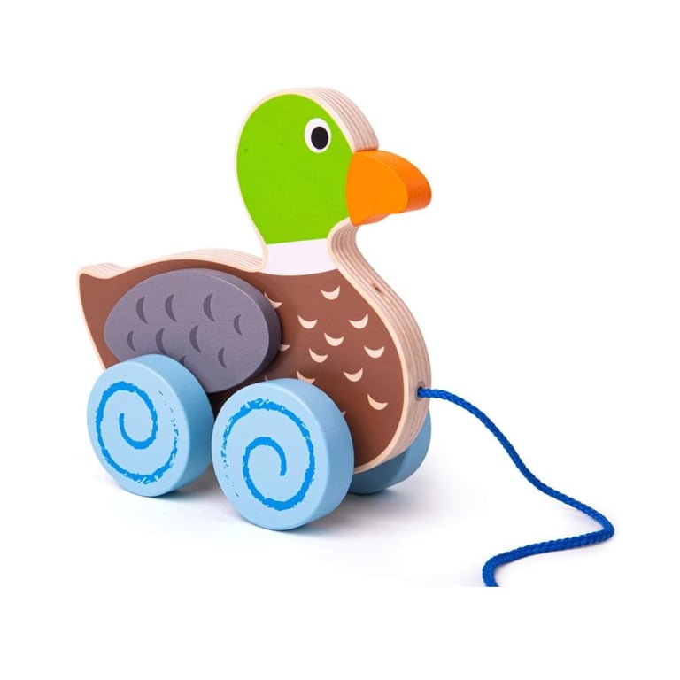 Montessori Bigjigs Pull Along Toy Duck