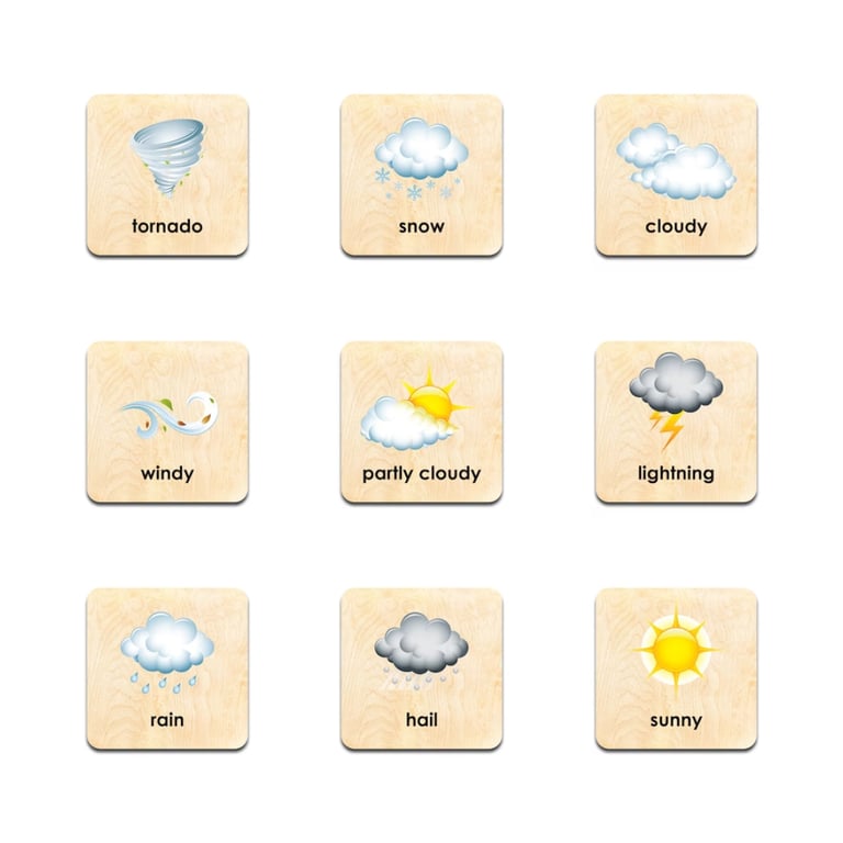 Montessori Bush Acres Wooden Weather Memory Game