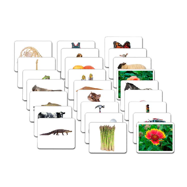 Montessori Maitri Learning Basic Vocabulary Card Set 26