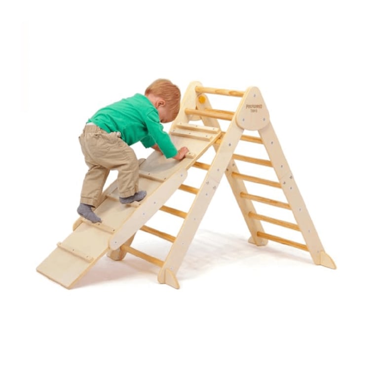 Montessori Preferred Toys Pikler Triangle 3 in 1 Montessori Climbing Set