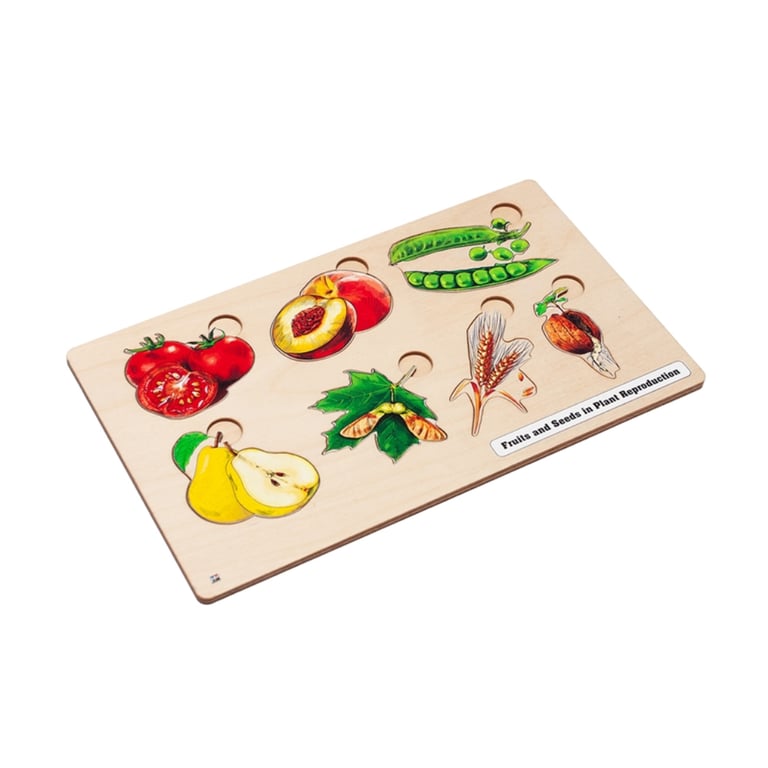 Montessori Alison's Montessori Fruits & Seeds in Plants Reproduction Puzzle