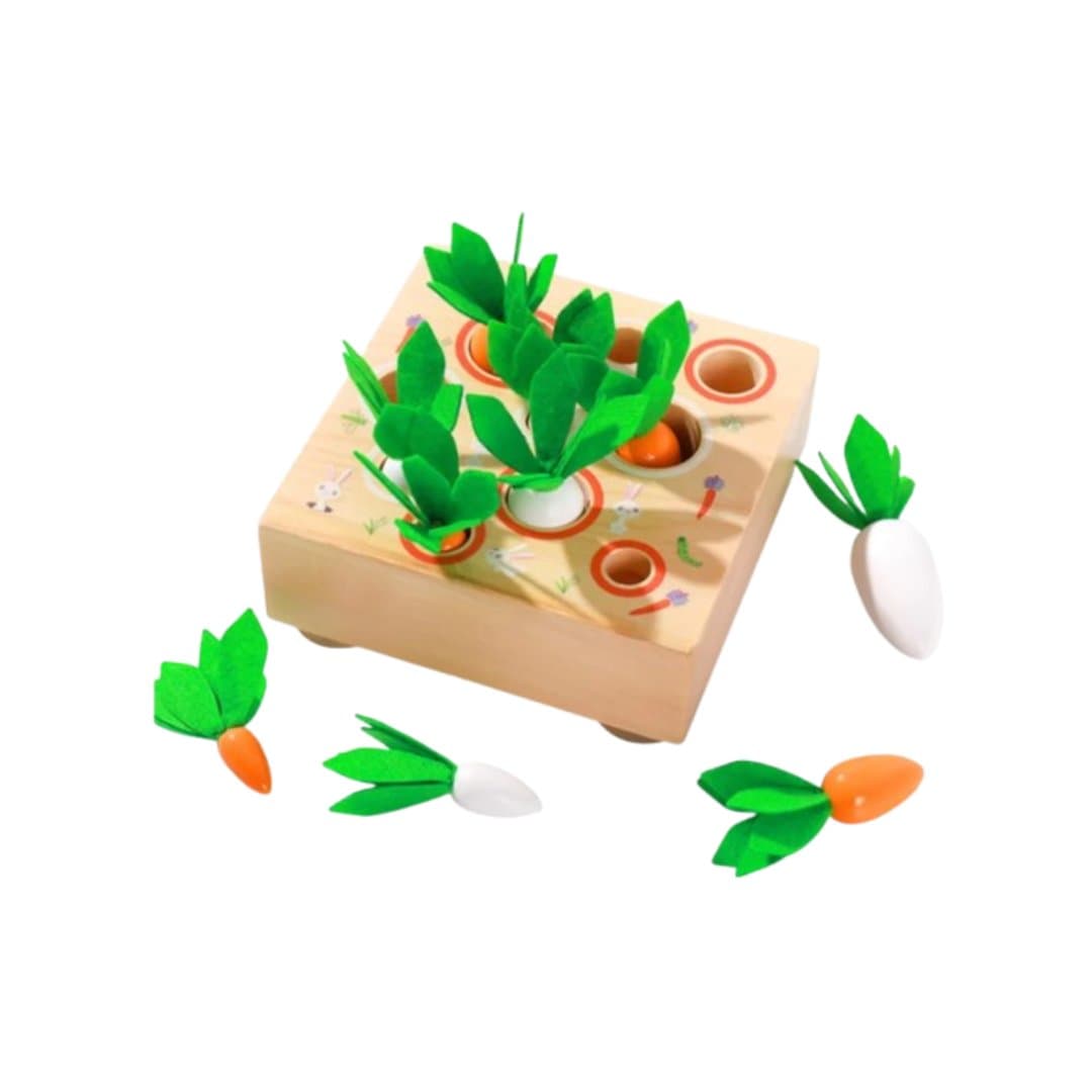 Elis Design Carrot Matching Game