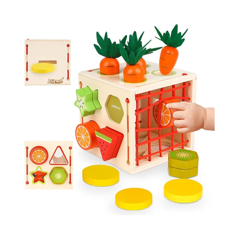 Montessori Joyreal Wooden Shape Sorting Cube