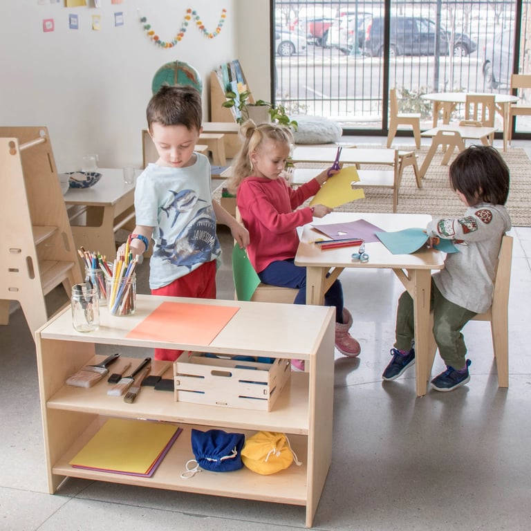 Montessori Sprout Kids Montessori School Open Back Shelving 20H 30W 11.5D