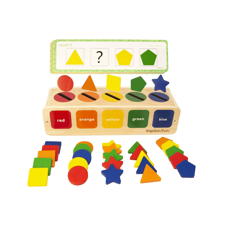 Montessori WOODENFUN Color Shape Sorter